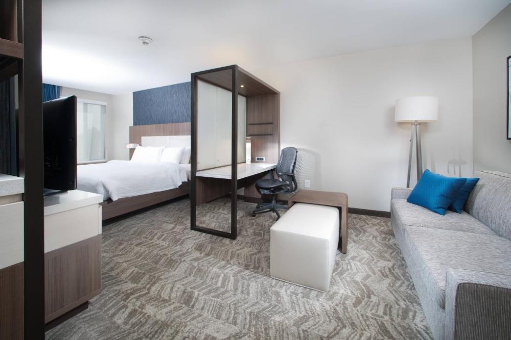 King Suite with Sofa Bed interior